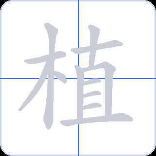 植 획순