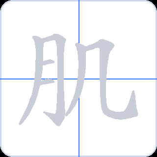 肌 획순