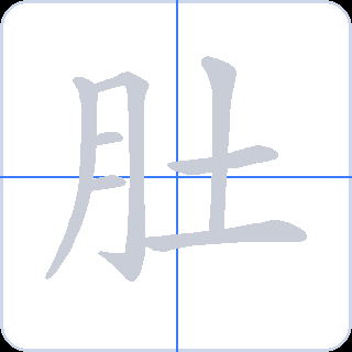 肚 획순