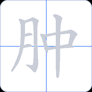 肿 획순