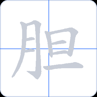 胆 획순