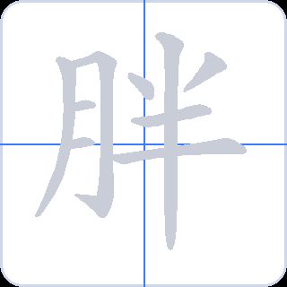 胖 획순