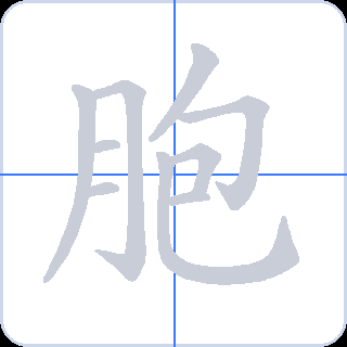 胞 획순