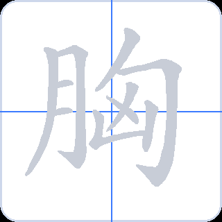 胸 획순