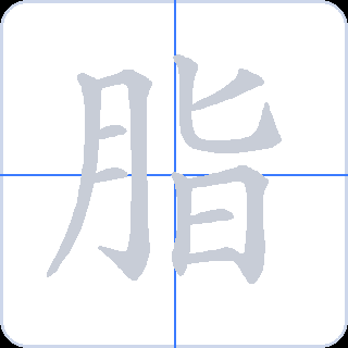 脂 획순