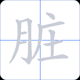脏 획순