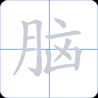 脑 획순