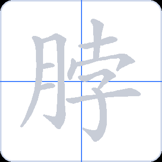脖 획순