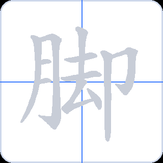 脚 획순