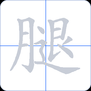 腿 획순