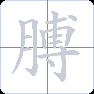 膊 획순