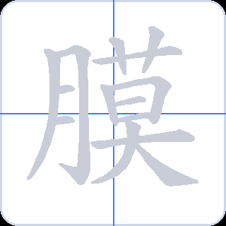 膜 획순